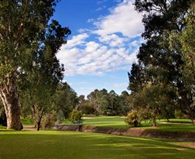 Commercial Golf Course - New South Wales Tourism  0