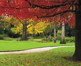 Albury Botanic Gardens - New South Wales Tourism  0