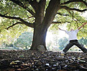 Albury Botanic Gardens - New South Wales Tourism  1