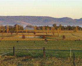 Holbrook NSW New South Wales Tourism 