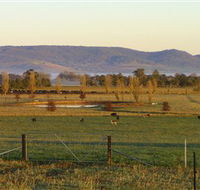 Holbrook Landcare Self-Drive Eco Tour - New South Wales Tourism 