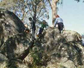 Mount Samaria State Park - New South Wales Tourism  0