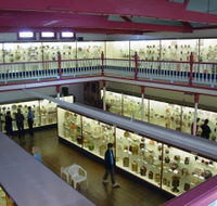 National Museum of Australian Pottery - New South Wales Tourism 