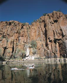 Python Pool - New South Wales Tourism  3