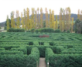 Brookfield Maze - New South Wales Tourism  0