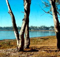 Lake Broadwater Conservation Park - New South Wales Tourism 