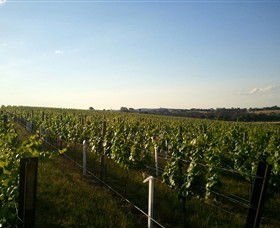 Beechworth Wine Estates - New South Wales Tourism  5