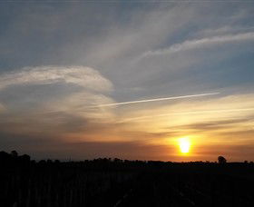 Beechworth Wine Estates - New South Wales Tourism  4