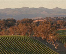 Angullong Wines - New South Wales Tourism  0
