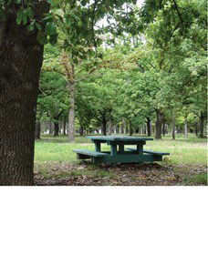 Lindsay Pryor National Arboretum - New South Wales Tourism  1
