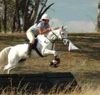 National Equestrian Centre - Kerrabee - New South Wales Tourism 