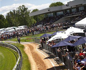 Thoroughbred Park Canberra Racing Club - Horse Racing In The Nations Capital - New South Wales Tourism  0
