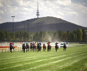 Thoroughbred Park Canberra Racing Club - Horse Racing In The Nations Capital - New South Wales Tourism  3