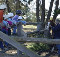 Harlow Park Horse Riding - New South Wales Tourism 