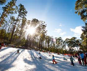Corin Forest Mountain Resort - New South Wales Tourism  1