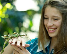  New South Wales Tourism 
