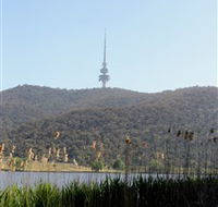 Black Mountain Peninsula - New South Wales Tourism 