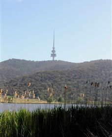 Black Mountain Peninsula - New South Wales Tourism  0