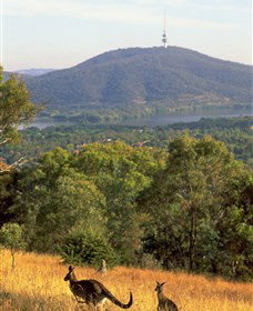 Canberra Centenary Trail - New South Wales Tourism  0