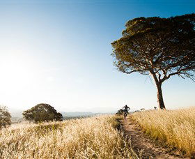 Canberra Centenary Trail - New South Wales Tourism  1