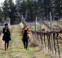 Mount Majura Vineyard - New South Wales Tourism 