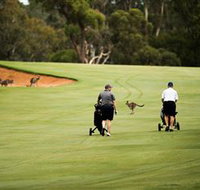 Federal Golf Club - New South Wales Tourism 