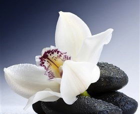 H2O Spa - New South Wales Tourism  1