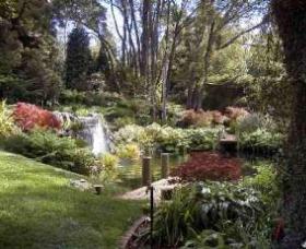 Windyridge Garden Mount Wilson - New South Wales Tourism  0