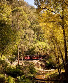 Walhalla Goldfields Railway - New South Wales Tourism  3