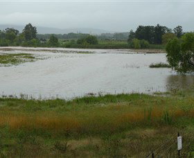 Jerrabomberra Wetlands - New South Wales Tourism  1