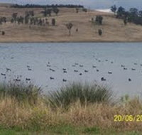 Lake Liddell Recreation Area - New South Wales Tourism 