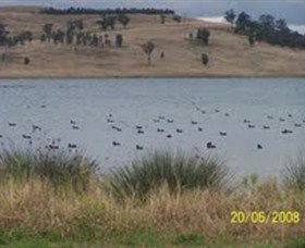 Lake Liddell Recreation Area - New South Wales Tourism  0