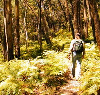 Federal Pass - New South Wales Tourism 