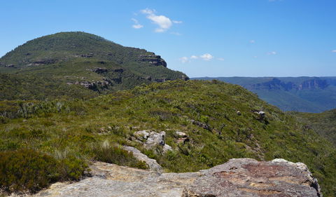 Mount Banks Road Cycle Route - New South Wales Tourism  0