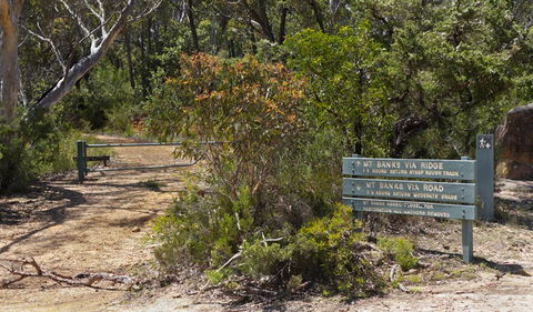 Mount Banks Road Cycle Route - New South Wales Tourism  1