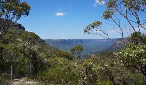 Mount Banks Road Cycle Route - New South Wales Tourism  2