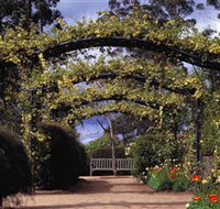 Blue Mountains Botanic Garden - New South Wales Tourism 