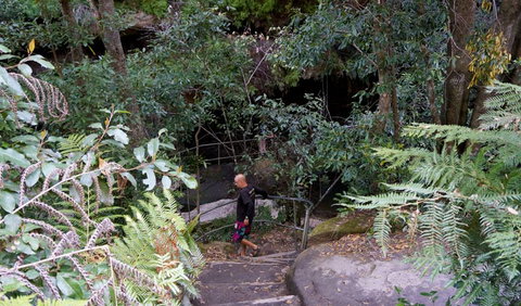 Leura Cascades Fern Bower - New South Wales Tourism  0