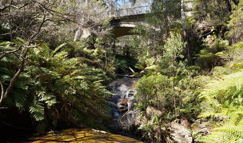Leura Cascades Fern Bower - New South Wales Tourism  3