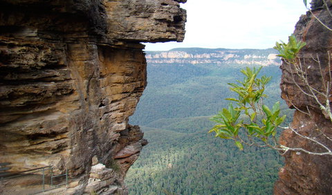 Three Sisters - Honeymoon Bridge - New South Wales Tourism  0