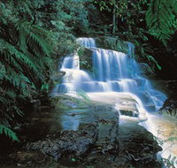 Leura Cascades - New South Wales Tourism 