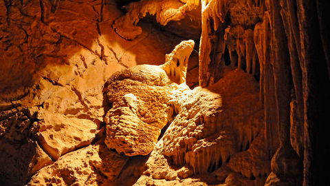 Wombeyan Karst Conservation Reserve - New South Wales Tourism  2