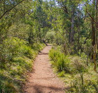Mares Forest Creek walking track - New South Wales Tourism 