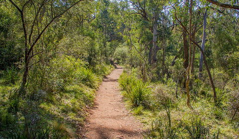 Mares Forest Creek Walking Track - New South Wales Tourism  0