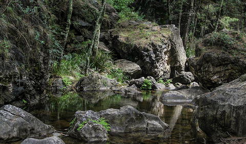 Mares Forest Creek Walking Track - New South Wales Tourism  1