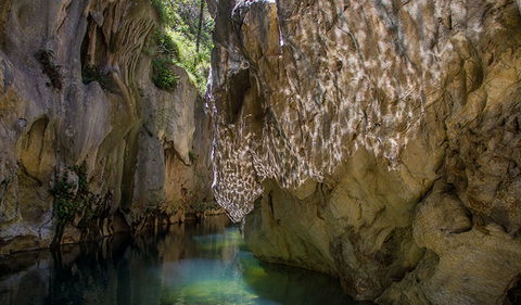 Mares Forest Creek Walking Track - New South Wales Tourism  2