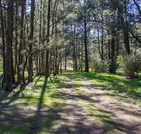 Wombeyan Waterfall walking track - New South Wales Tourism 