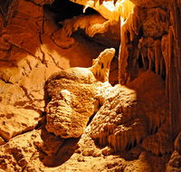 Fig Tree Cave - New South Wales Tourism 