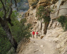 National Pass - New South Wales Tourism  0