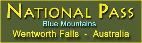 National Pass - New South Wales Tourism  6